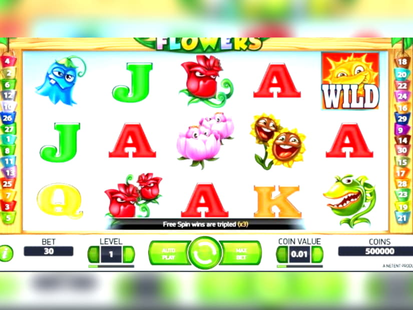 655% Bonus de bun venit la Joy Casino